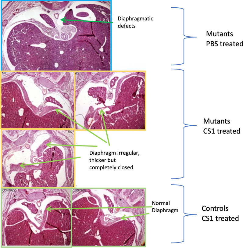 Fig. 4