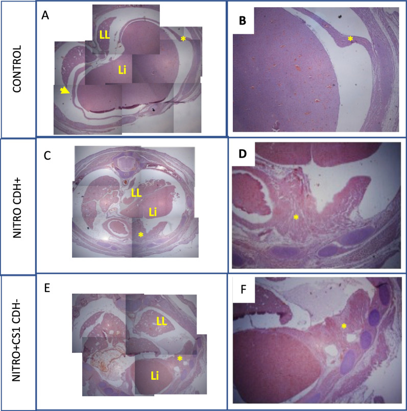 Fig. 2