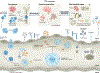 Fig. 4 |