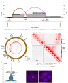 Extended Data Fig. 6