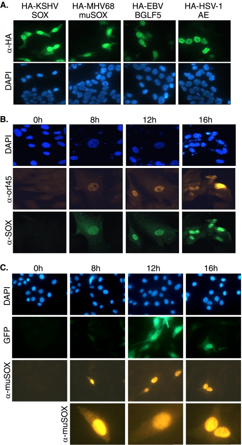 FIG. 4.