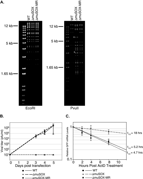 FIG. 3.