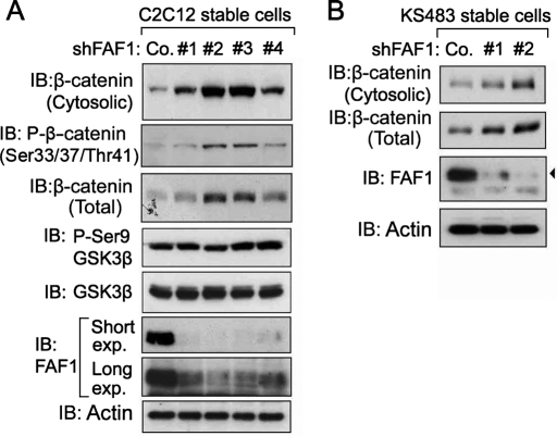 FIGURE 4: