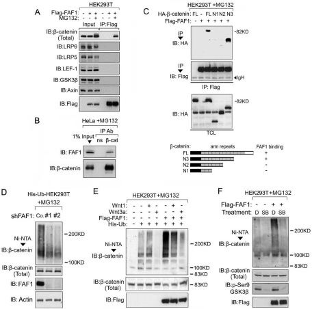 FIGURE 3: