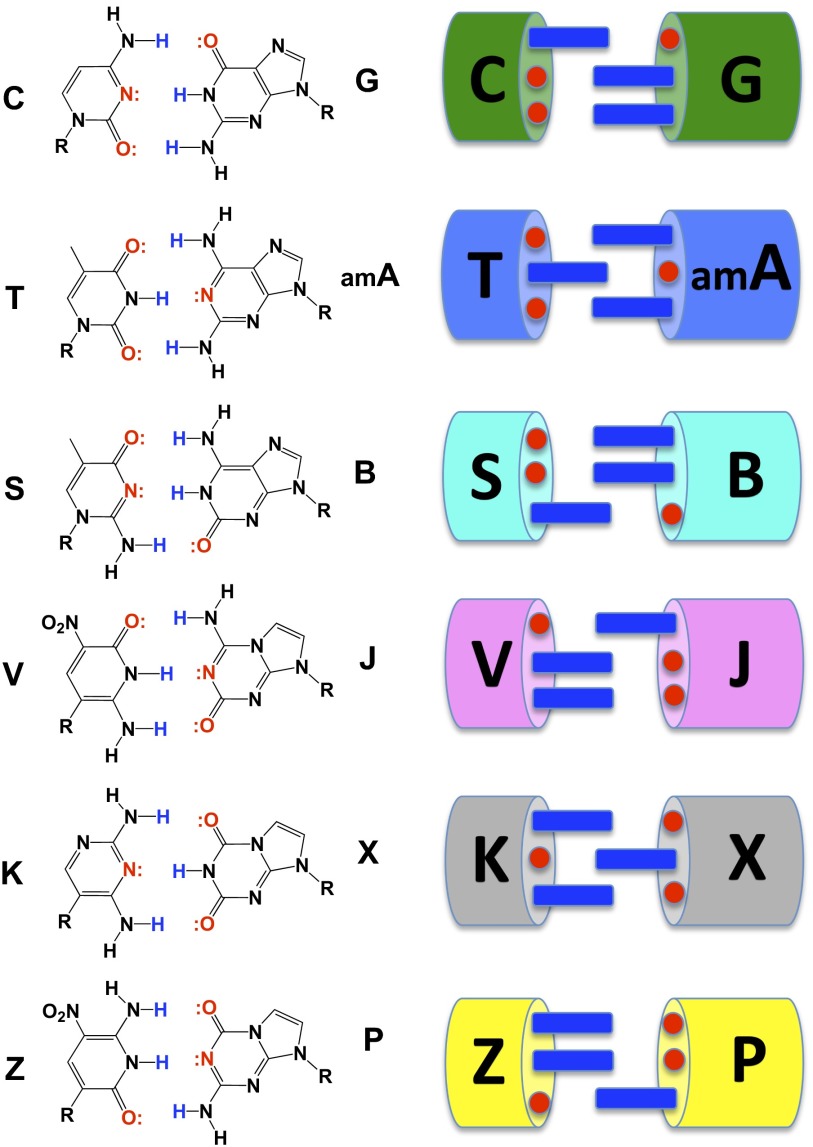 Fig. 1.