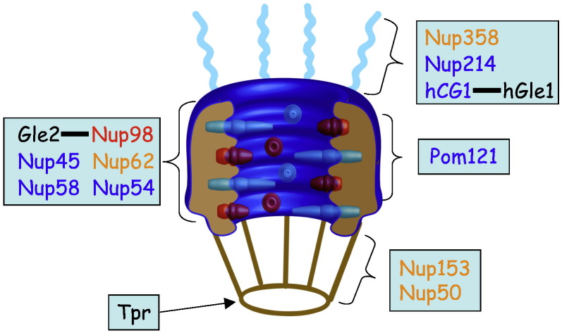 Fig. 1