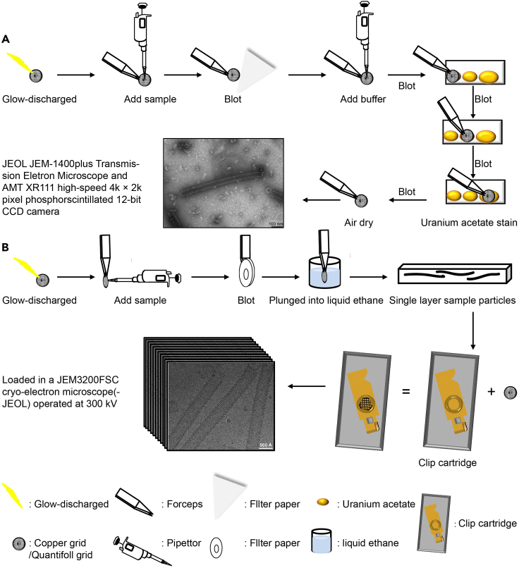 Figure 1