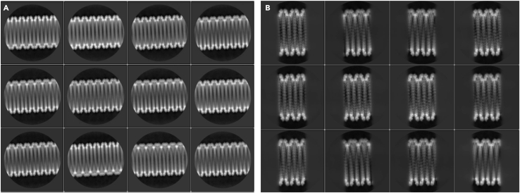 Figure 4