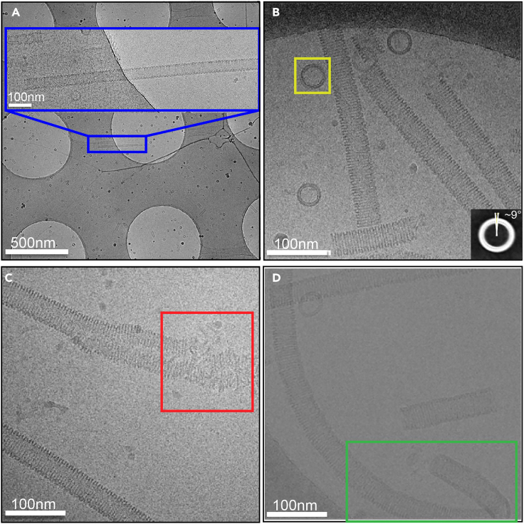 Figure 3