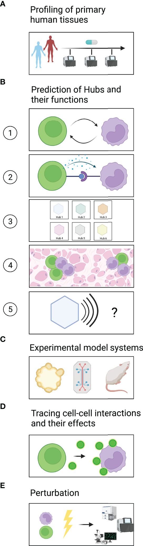 Figure 2