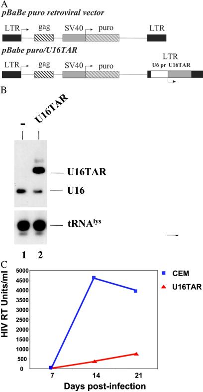 Fig 3.