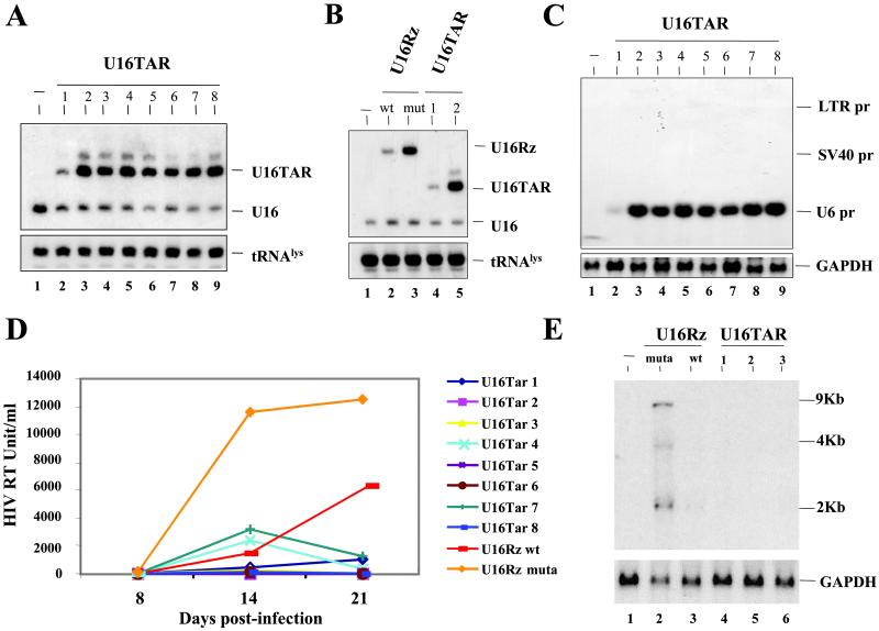 Fig 4.