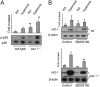 <b>Figure 6.</b>