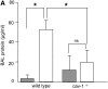 <b>Figure 3.</b>