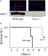 <b>Figure 2.</b>