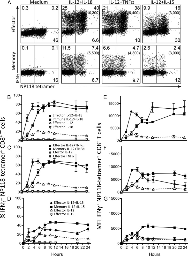 FIG 1