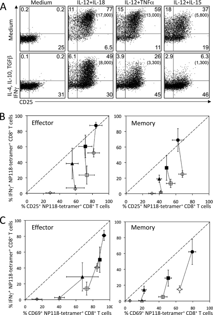 FIG 3