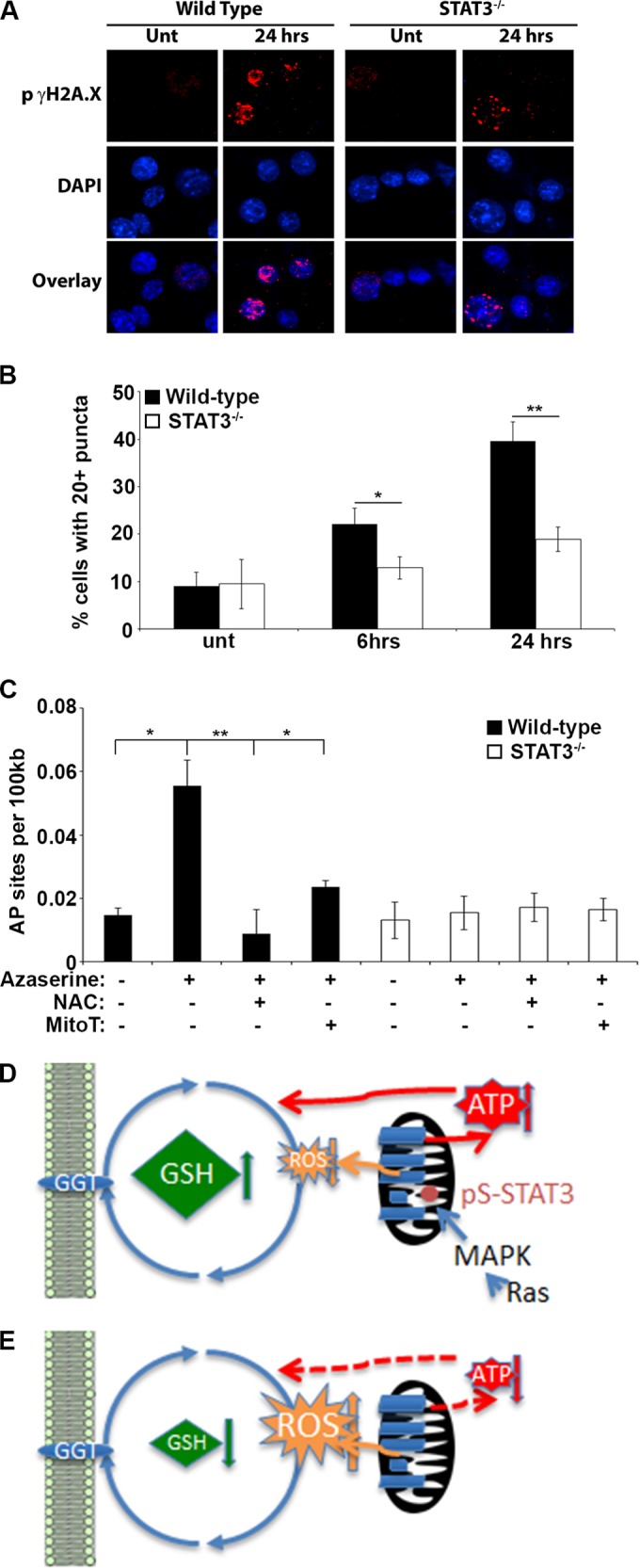 FIG 6