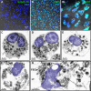 Figure 2