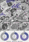 Figure 7