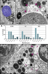 Figure 6