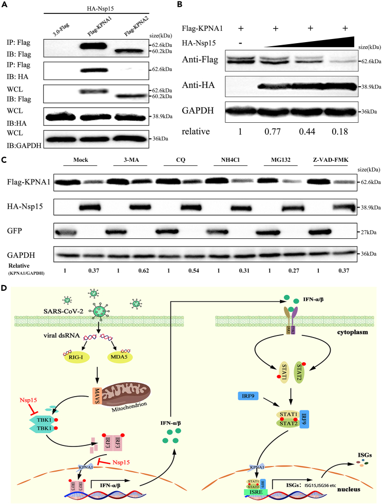 Figure 6