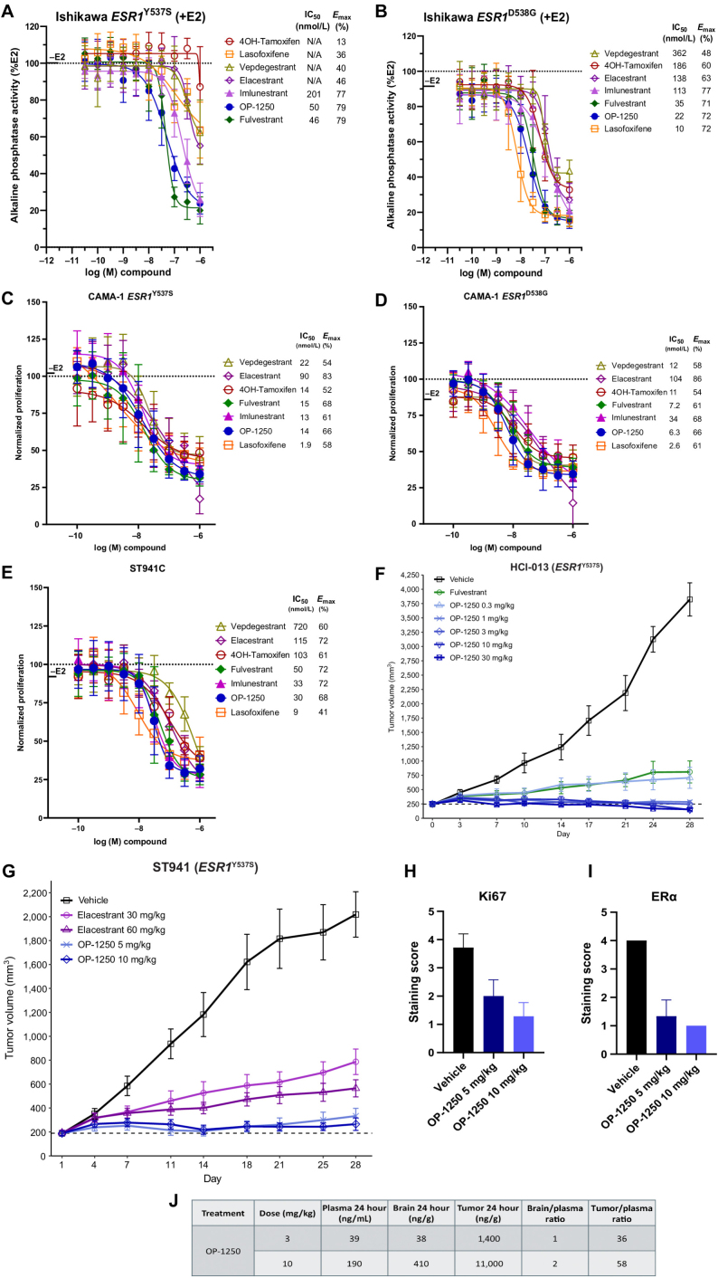 Figure 4. OP-1250 blocks ER signaling and proliferation in ESR1-mutant breast cancer models. A and B, AP mean and SD of indicated homozygous ESR1-mutant Ishikawa endometrial cells conducted in the presence of 500 pmol/L E2. Data are normalized to 500 pmol/L E2-treated wells and represented as mean and SD of at least three independent experiments. C–E, Cellular proliferation of indicated ESR1-mutant cells treated with antiestrogen in the presence of 100 pmol/L E2. Proliferation assessed by CyQUANT reagent is normalized to E2-treated vehicle and shown as mean and SD across at least three experiments. F, Mean and SEM tumor volume over time with listed treatments in the ESR1Y537S HCI-013 PDX model, with dotted line representing tumor stasis. G, Mean and SEM tumor volume over time with listed treatments in the ESR1Y537S ST941 PDX model, with dotted line representing tumor stasis. H and I, IHC analysis of Ki67 and nuclear ERα in tumor samples, and pharmacokinetic analysis of plasma samples from the ST941 xenograft study collected 24 h after the final dose. Data are shown as the mean values of at least 3 animals. Non-necrotic tumor staining extent was scored as 0 for no staining, 1 for up to 25%, 2 for 25%–50%, 3 for 50%–75%, and 4 for 75%–100%. J, Pharmacokinetic analysis of plasma, tumor, and brain samples from the HCI-013 xenograft study collected 24 hours after final dose. Numbers represent mean values from at least 3 animals.