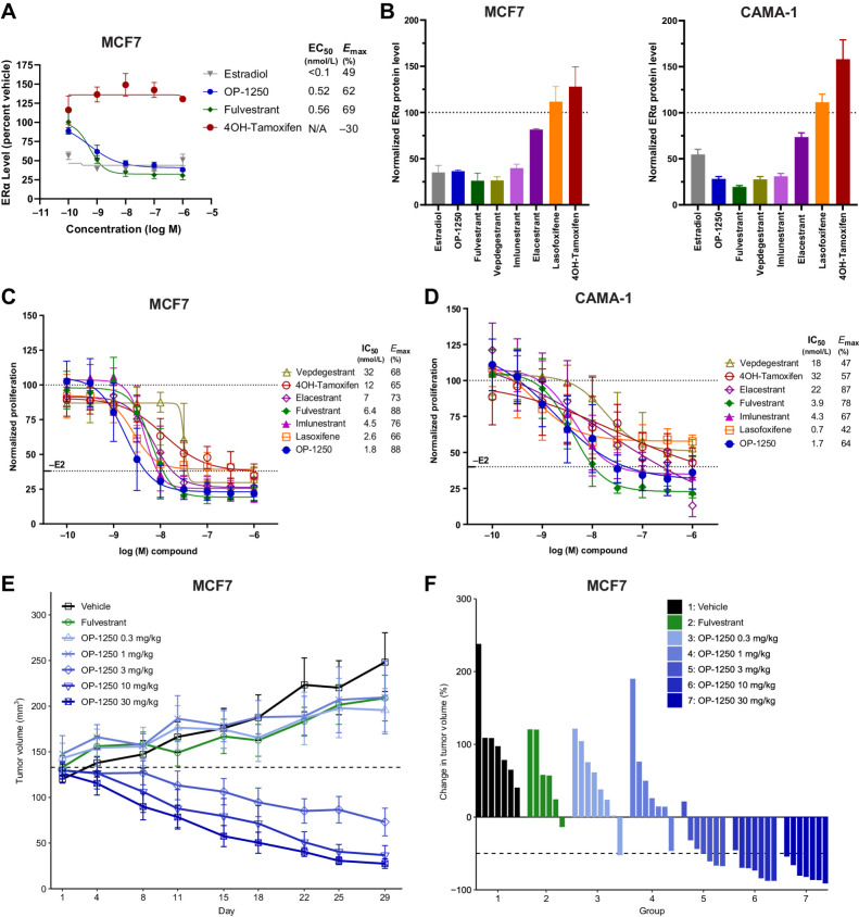 Figure 3. OP-1250 displays in vitro and in vivo efficacy and degrades the ER in ER+ breast cancer models. A, Simple Western analysis of ERα protein levels in MCF7 cells after 24 hours treatment with listed compounds. Samples are normalized to untreated control, with mean and SD across three independent treatments shown. B, Simple Western analysis of ERα protein levels in MCF7 or CAMA-1 cells after 24 hours of treatment with 300 nmol/L compound or 1 nmol/L E2. Samples are normalized to untreated control, represented by dotted line, with mean and SD across at least three independent treatments shown. C and D, Cellular proliferation of MCF7 and CAMA-1 cells treated with indicated dose of antiestrogen in the presence of 100 pmol/L E2. Proliferation assessed by CyQUANT reagent is normalized to E2-treated vehicle and shown as mean and SD across at least three experiments. E, Mean and SEM tumor volume over time with listed treatments in the MCF7 breast cancer model, with dotted line representing tumor stasis. Each group represents at least 6 animals. F, Percent change in tumor volume of individual animals in listed treatment groups at day 29 of MCF7 xenograft study, normalized to day 1 tumor volume.