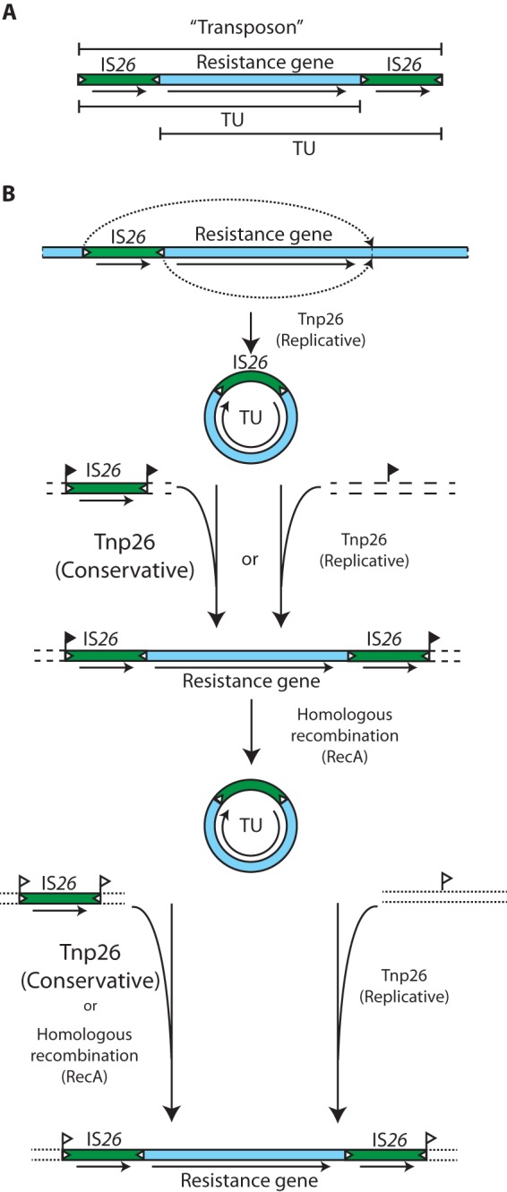 FIG 1 