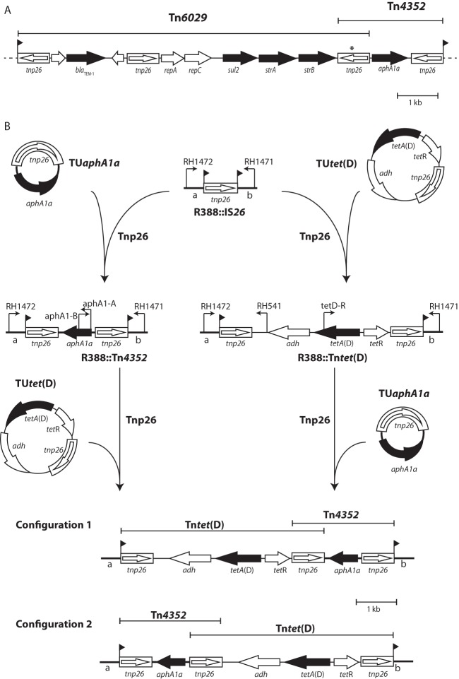 FIG 2 