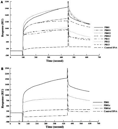 FIG. 6