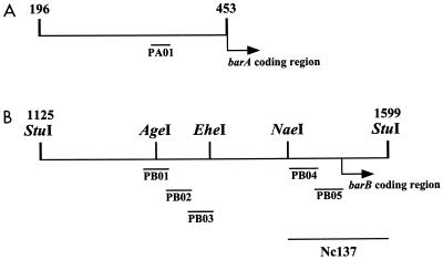 FIG. 1