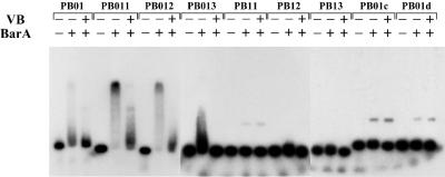 FIG. 7