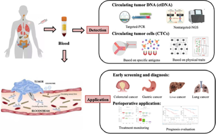 Image, graphical abstract