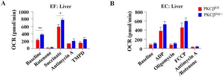 Figure 5