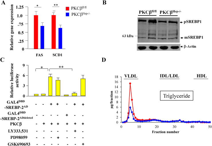 Figure 6