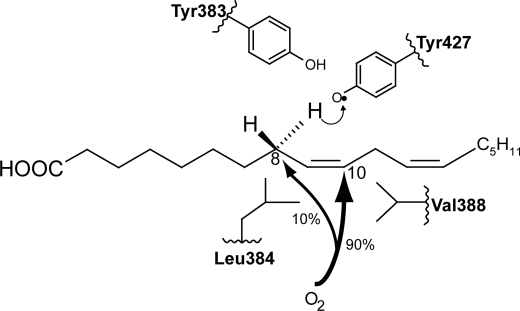 FIGURE 9.