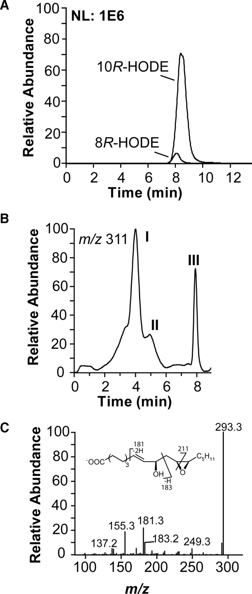 FIGURE 7.