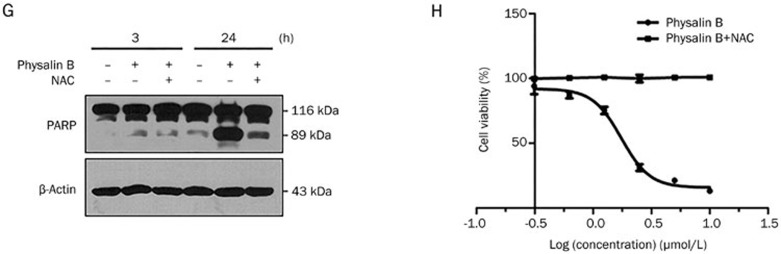 Figure 5G-5H