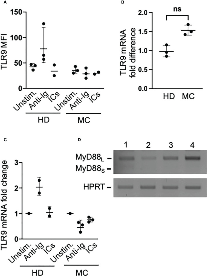 Figure 3