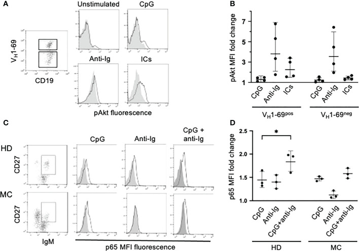 Figure 4