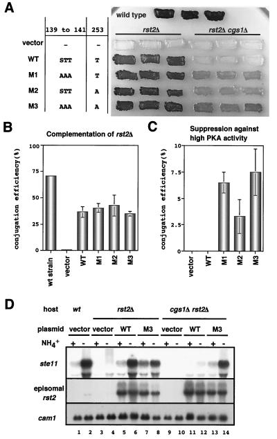 FIG. 6.