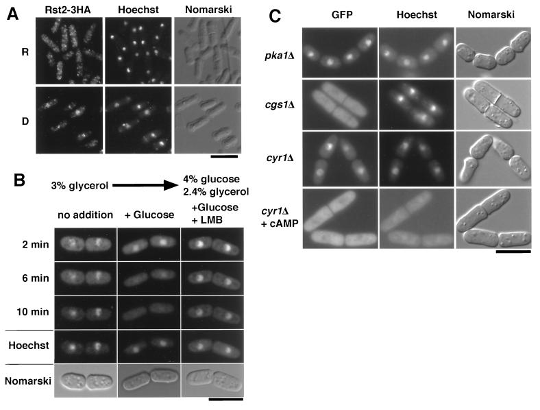 FIG. 7.