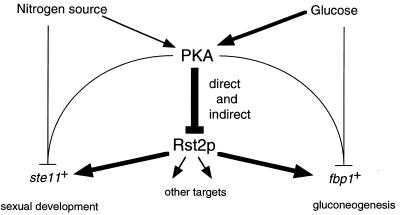 FIG. 9.