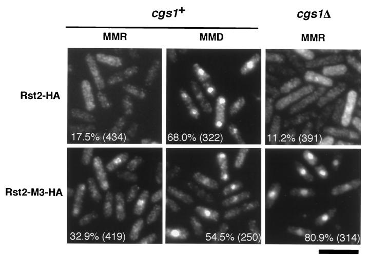 FIG. 8.