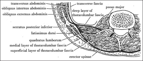 Figure 1a