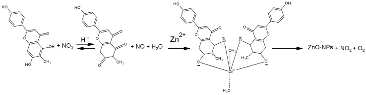 Scheme 1