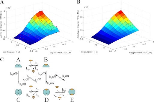 FIGURE 3.