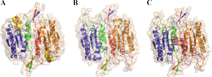 FIGURE 1.