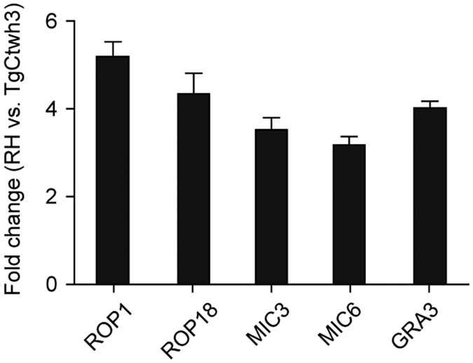 Figure 6